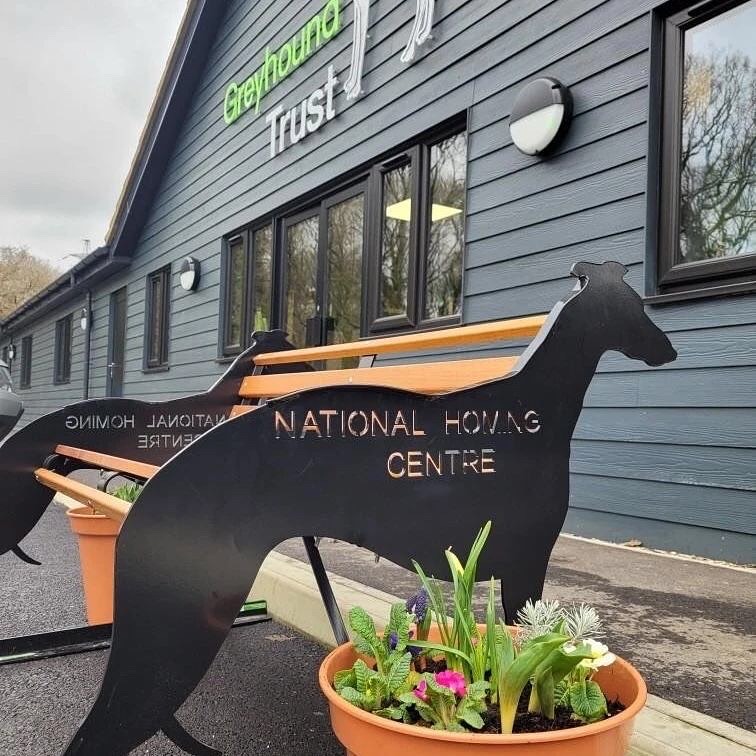 Grehound bench for greyhound trust