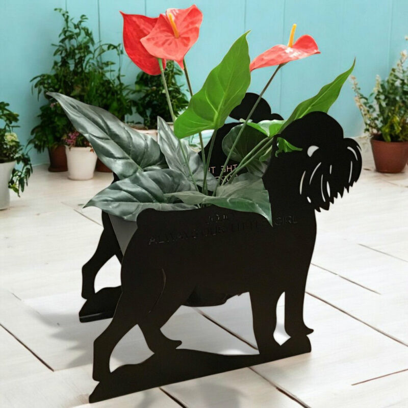Griffon Bruxellois Planter