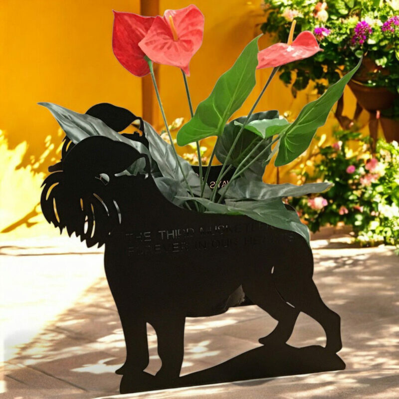 Griffon Bruxellois Planter