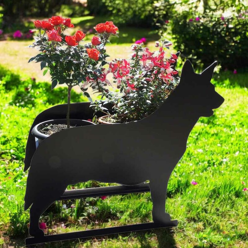 Australian Cattle Dog Planter