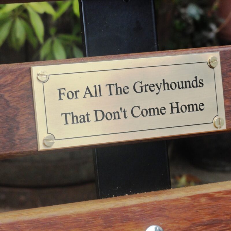 Greyhound themed garden bench