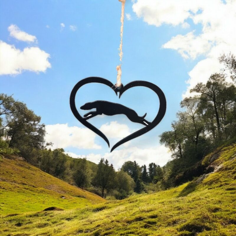 Greyhound love heart